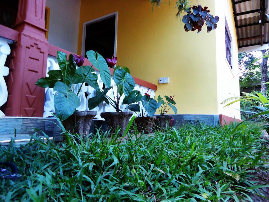 Sigiri Sithru Home Stay Sigiriya Eksteriør bilde